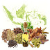 OBAT KUAT HERBAL TERBAIK PALING AMPUH DAN PALING LARIS SAAT INI thumbnail