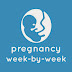 Pregnancy Week by Week - Guide and Fetal Development