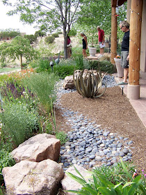 Girl Sprout NM: Eldorado Garden Tour
