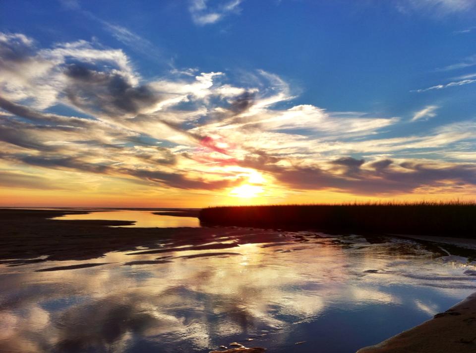 Hats and Rabbits In the Infinite Palm of God First Encounter Beach