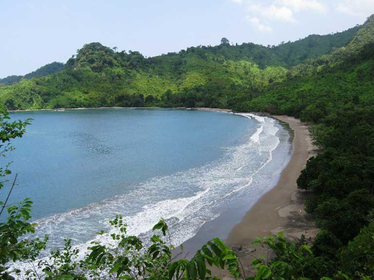 Pantai Bandealit Jember | Ini Wisata Indonesia