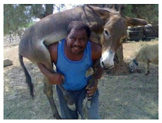 Indian Funny Picture Gallery | तस्वीरें नहीं यह अजूबे हैं जो आपको सिर्फ भारत में ही देखने को मिलेंगे Indian Funny Picture Gallery, latest indian funny images, funny image photo, indian funny pics, funny images for whatsapp indian,