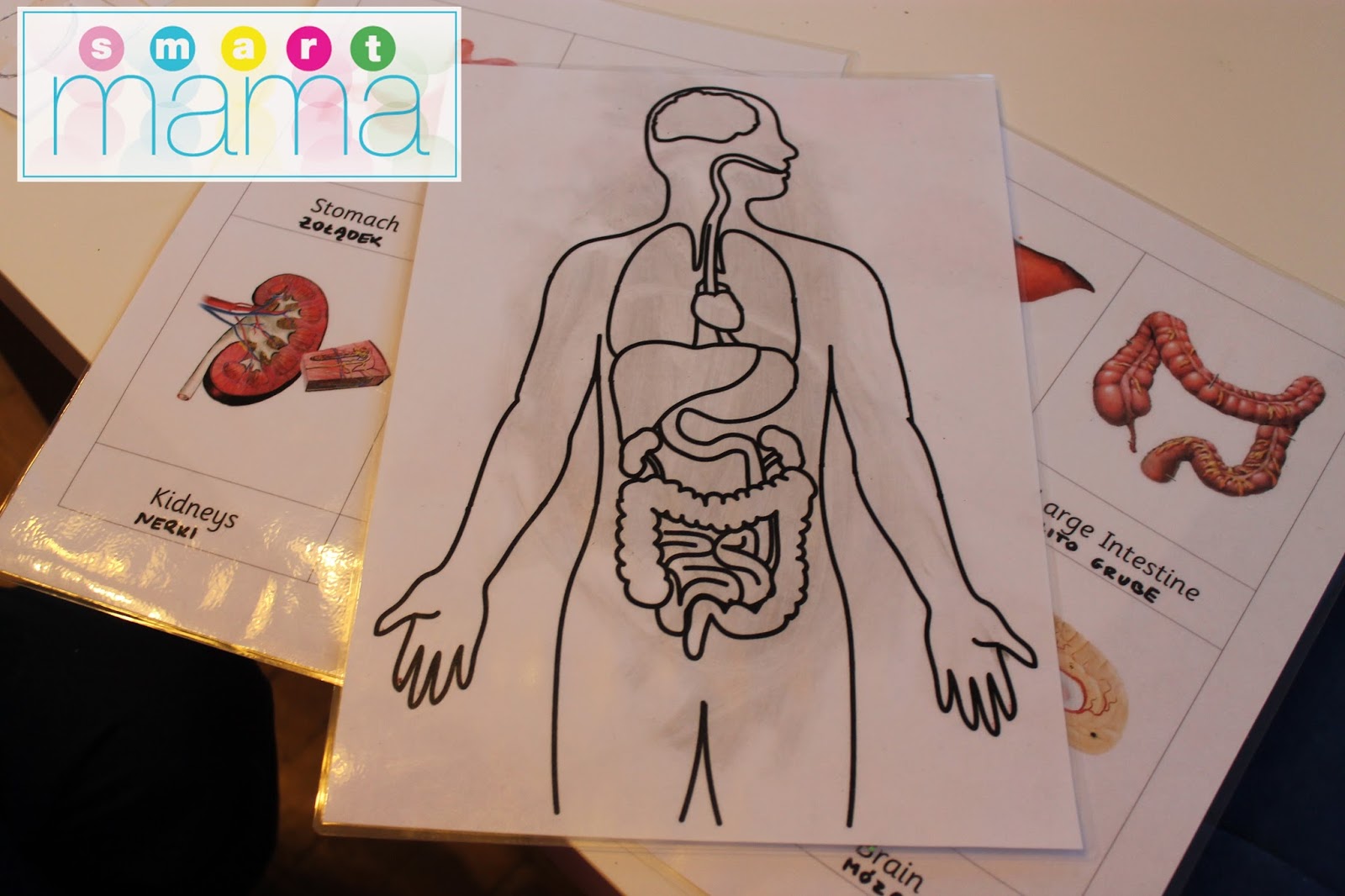 A.K-K: Malowana anatomia