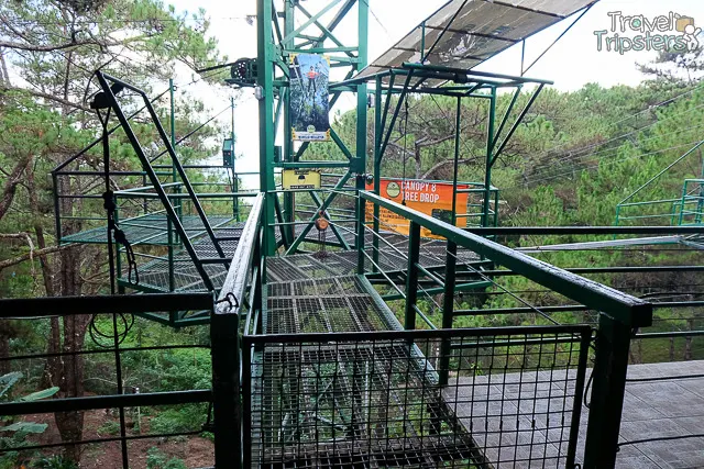 tree top adventure baguio