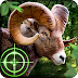 Wild Hunter 3D Mod