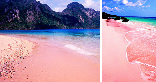 Pink Beach in the Philippines Best beaches in the world 2016