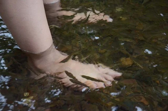 river trail adventure fish feeding