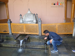 Drinking fresh water from spring