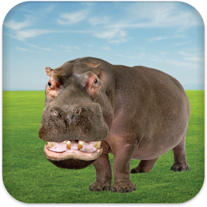 Talking Hippo apk Free Download Full Version