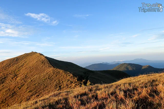 mount pulag