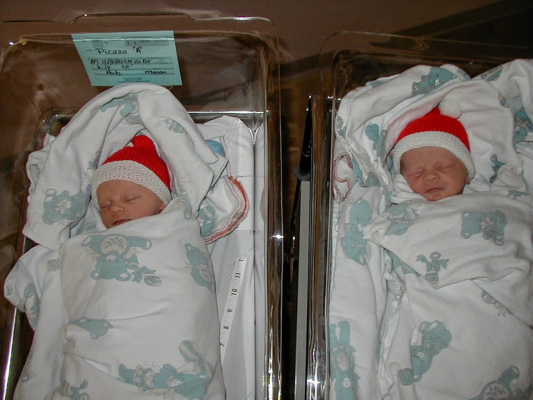 newborn baby twins