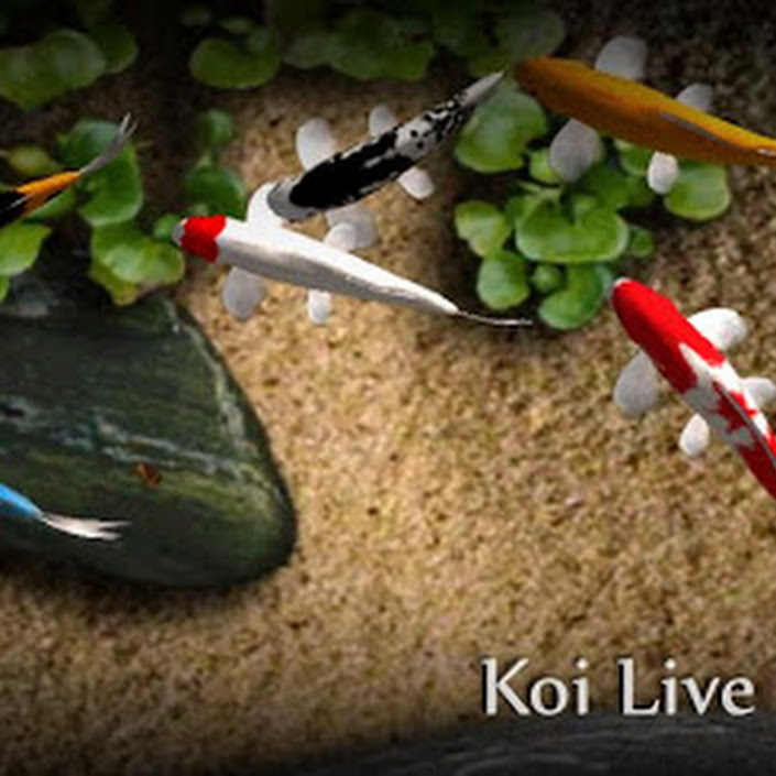 Koi Live Wallpaper Full 1.65 Apk