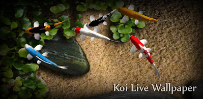 live koi wallpaper