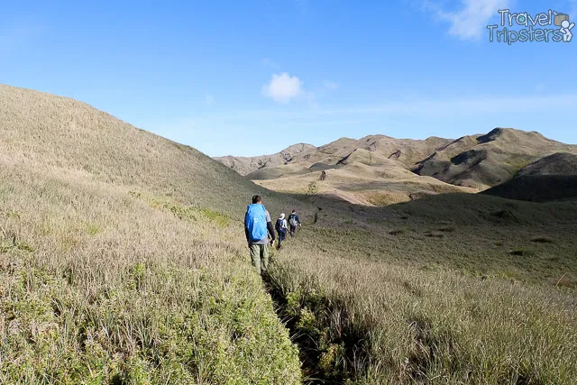 mount pulag