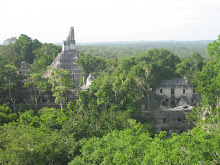Maya ruins in Tikal