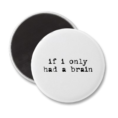 [if_i_only_had_a_brain_magnet-p147463521872242538qjy4_400.jpg]