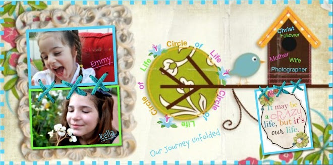 circle of life