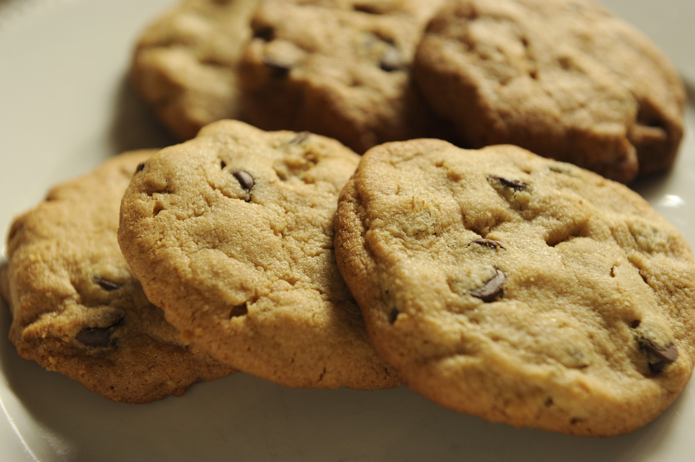 Meg's Tasty Treats Friday Baking Club More biscuits and