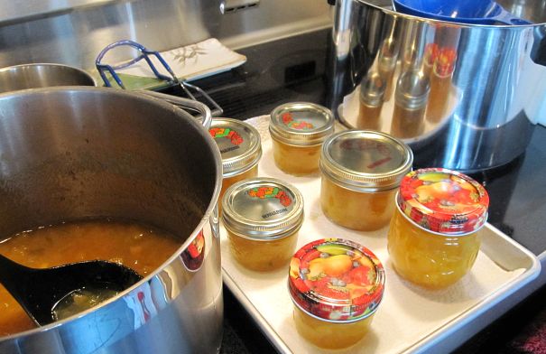 Golda S Kitchen Promotion Code Golda S Kitchen Promotion Code