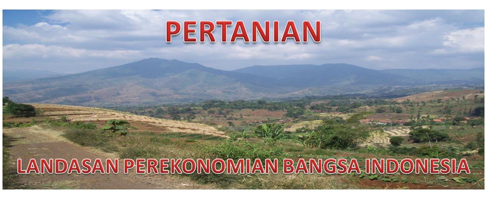 Blog Pertanian