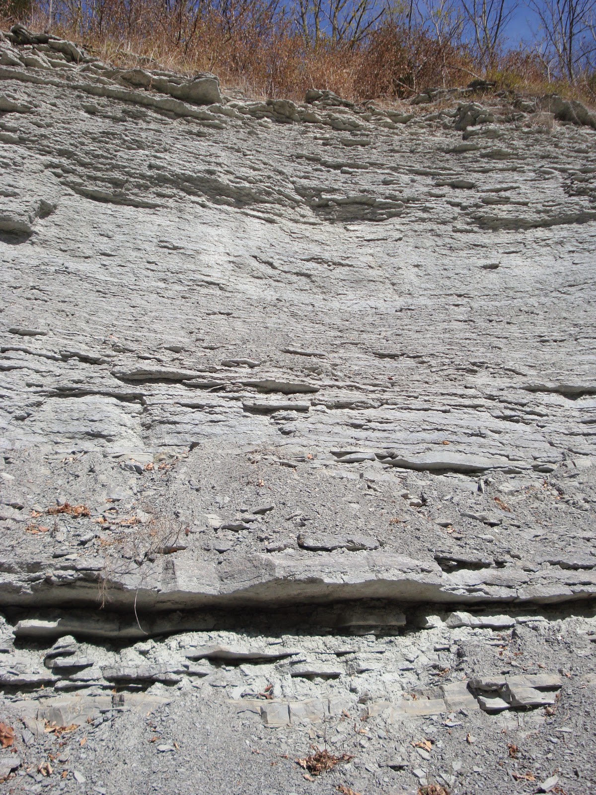 Learning Cincinnati Geology