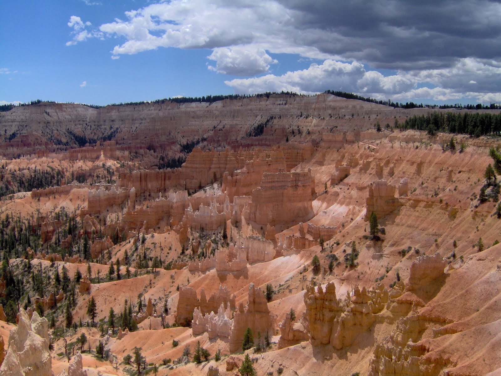 [USA2006-1156.JPG]