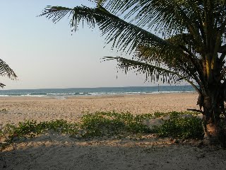 [DSCN8979.jpg]