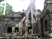 templo angkor, camboya, entrevista la vuelta al mundo.net, blog la vuelta al mundo.net,vuelta al mundo, round the world, información viajes, consejos, fotos, guía, diario, excursiones