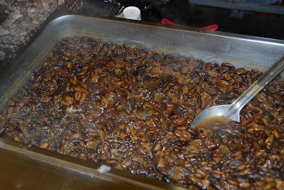 Downs' Diary: Korean Delicacies