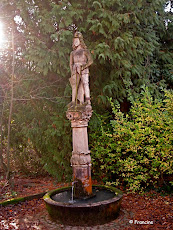 la Fontaine miraculeuse surmontée de la statue de St Gangolph