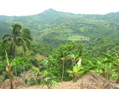 A farm in Biasong