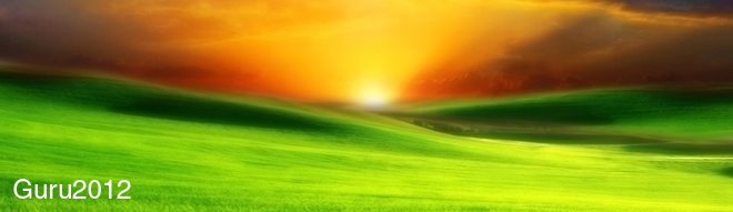 guru2012