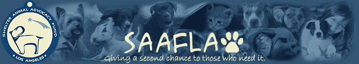 Shelter Animal Advocacy Fund Los Angeles