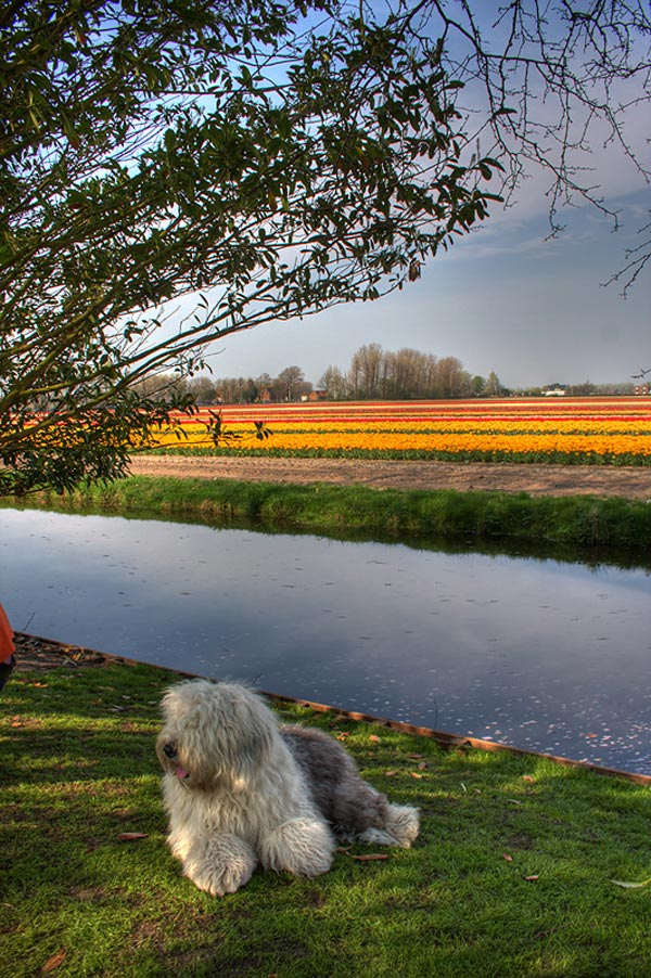 Cool Daily Pics: Amazing And Cool Nature Photography