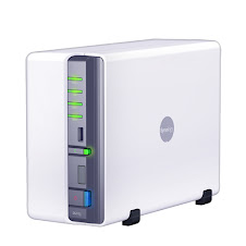 Synology Disk Station DS210j 2-bay NAS server