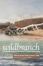 Wildbranch Anthology - available now