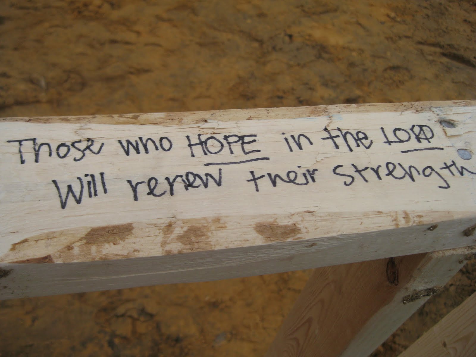 [houseofhope2010+058.jpg]
