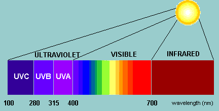 uvb-light-bar.jpg