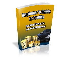 Beginner's Guide to Profits