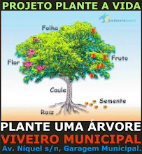 Arborização Urbana :)