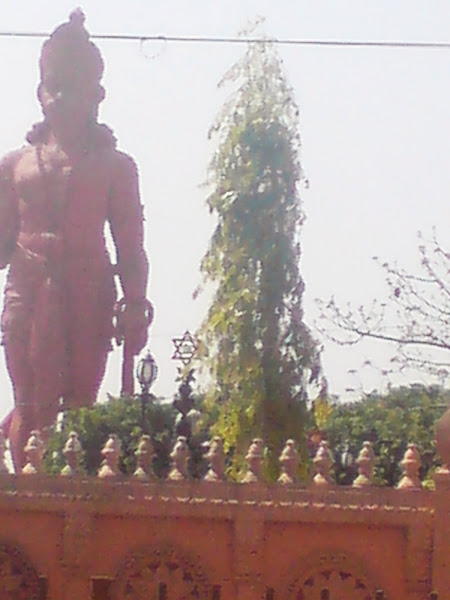 Beautifl statue of HHanumanji at chatterpur temple complex