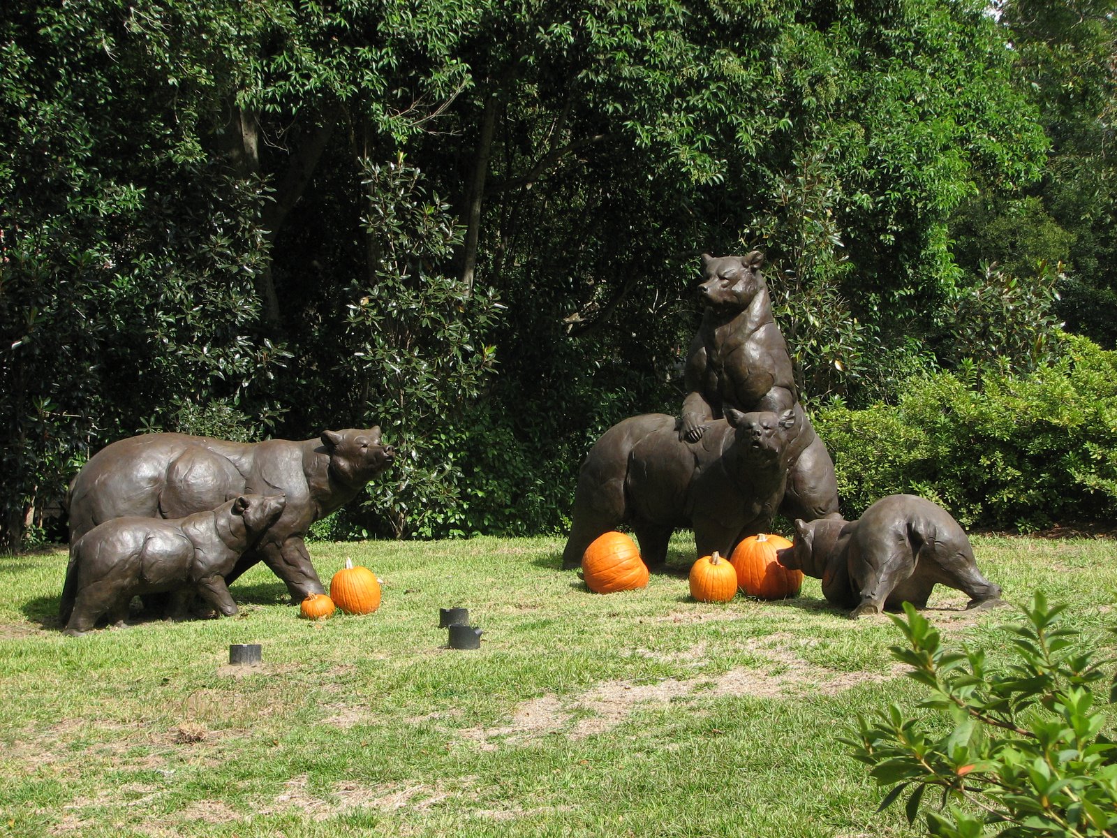 [bears+pumpkins.JPG]