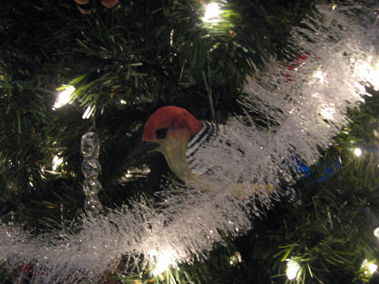 [woodpecker+tree.JPG]