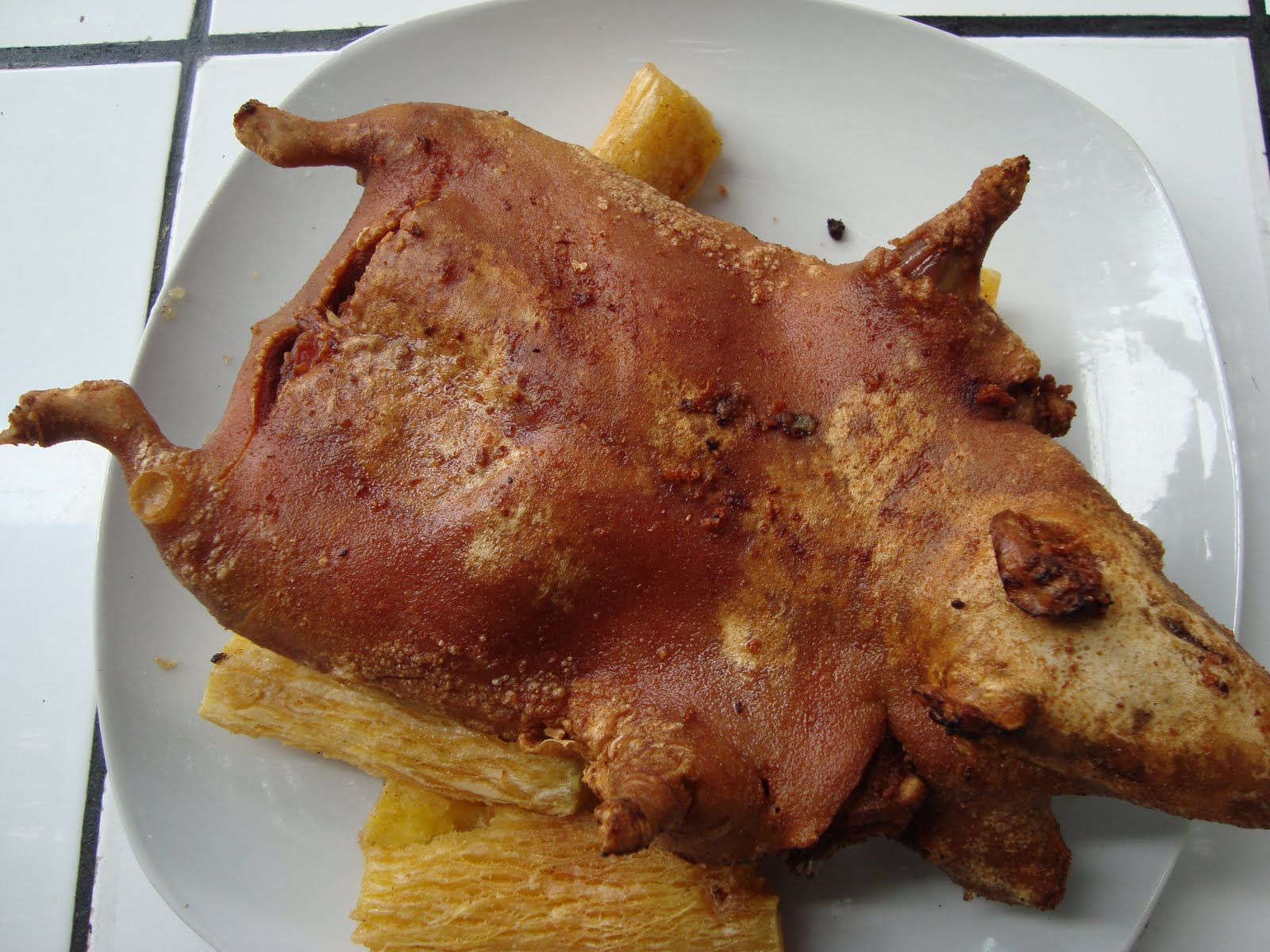 La Ramadita Warmy de Pepe y Laura CUY CHACTADO