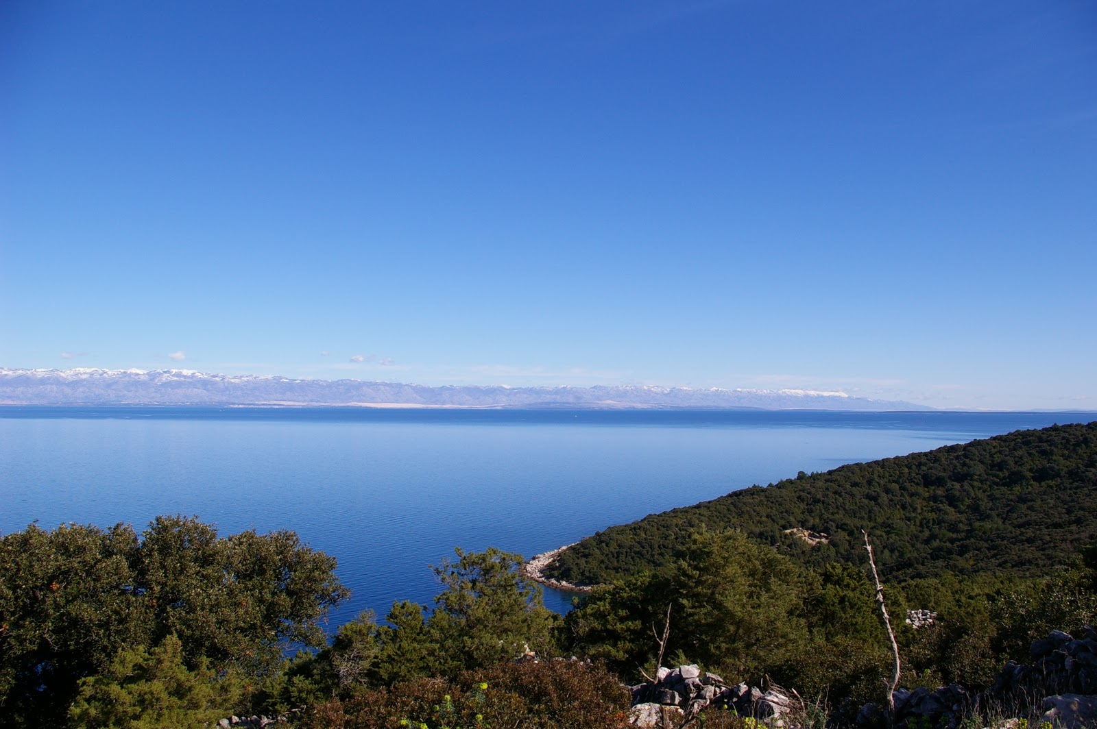 WWFTrieste La Perdita Traumatica Del Senso Dei Luoghi Relazione Tra 
