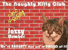 The Naughty Kitty Club