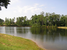 Beaver Creek Lake in Apex, NC