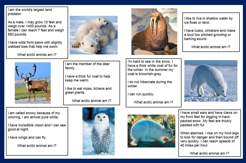 riddles-on-pinterest-who-am-i-animals-and-pets-and-making-inferences