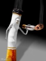 [cigarro.jpg]