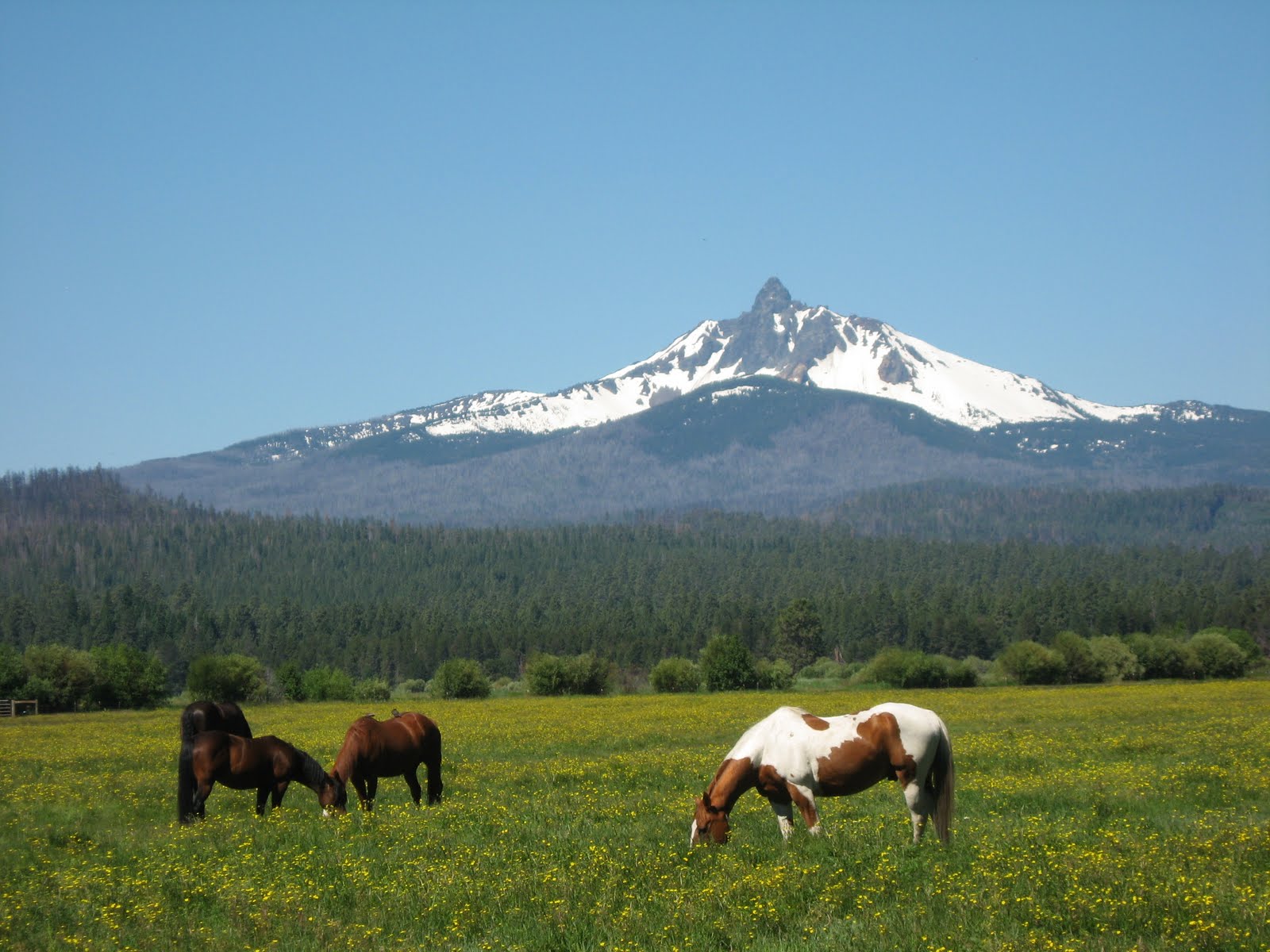 Mrs Peeks Farmhouse Black Butte Ranch Resort, Oregon